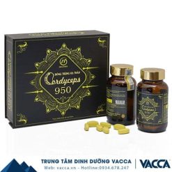 vien dong trung ha thao cordyceps 950 mailands