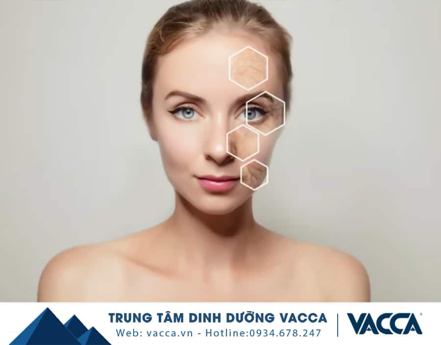 Collagen đóng vai trò quan trọng đối với làn da và cơ thể người phụ nữ.