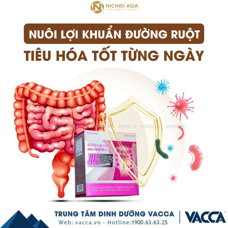 Bột Uống Hỗ Trợ Tiêu Hóa Intestines Beauty Queen